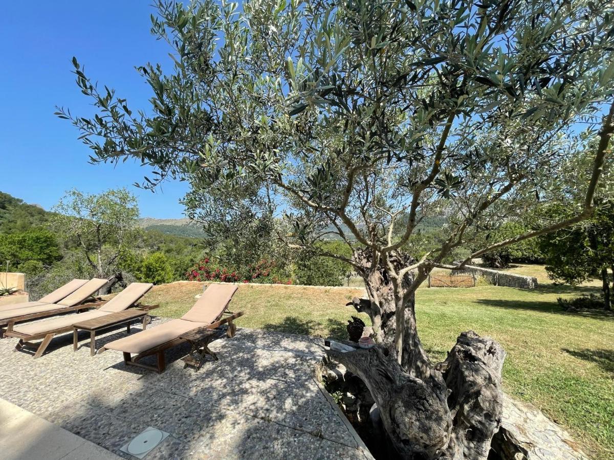 Guillo Villa Pollensa
