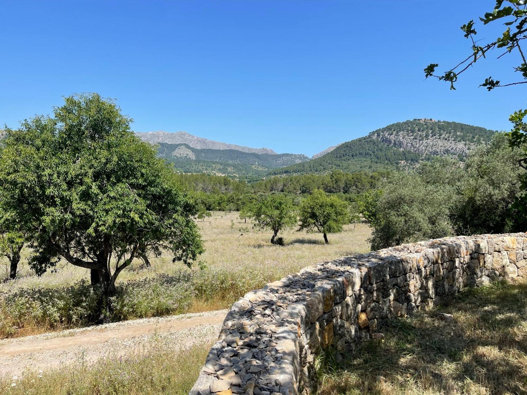 Guillo Villa Pollensa